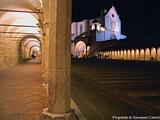 Basilica di San Francesco 7